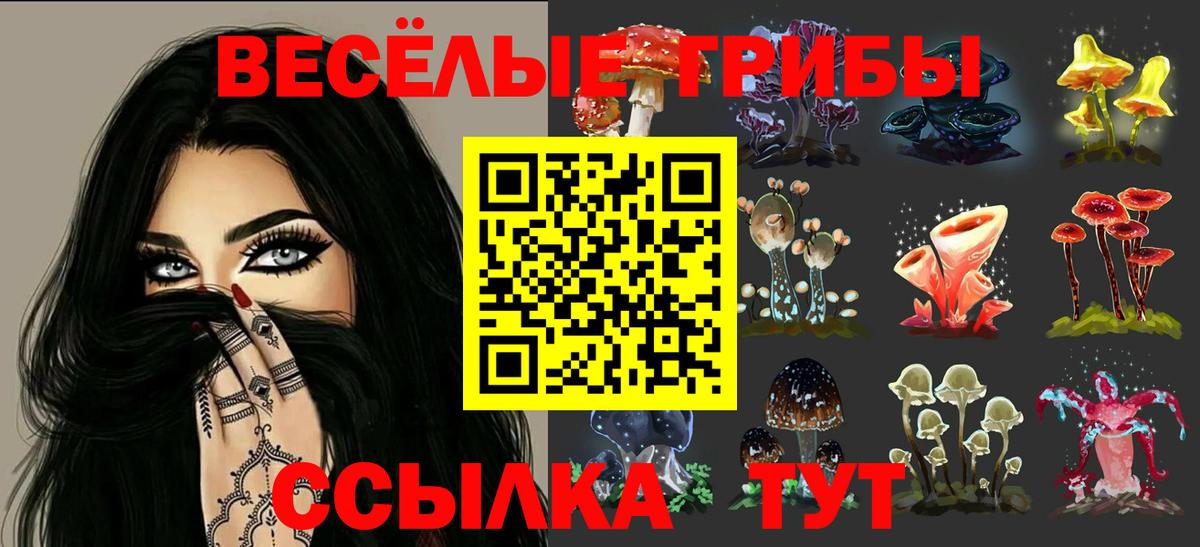 Мурманск  где найти наркотики  Вход с VPN  Псилоцибиновые грибы Psilocybe 